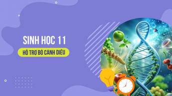 Sinh học - Lớp 11 - Cánh Diều