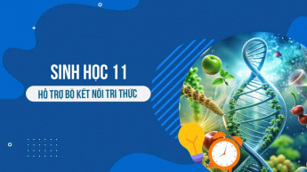 Sinh học - Lớp 11 - Kết nối tri thức